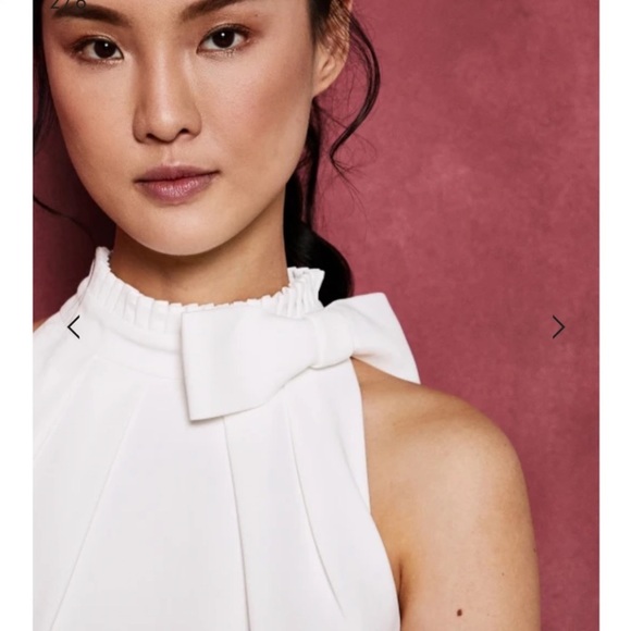 NWOT TED BAKER CORNALA BABYLON PLEATED FLORAL SKIRT DRESS SZ 8/10 US TED SZ 3 - Picture 2 of 12